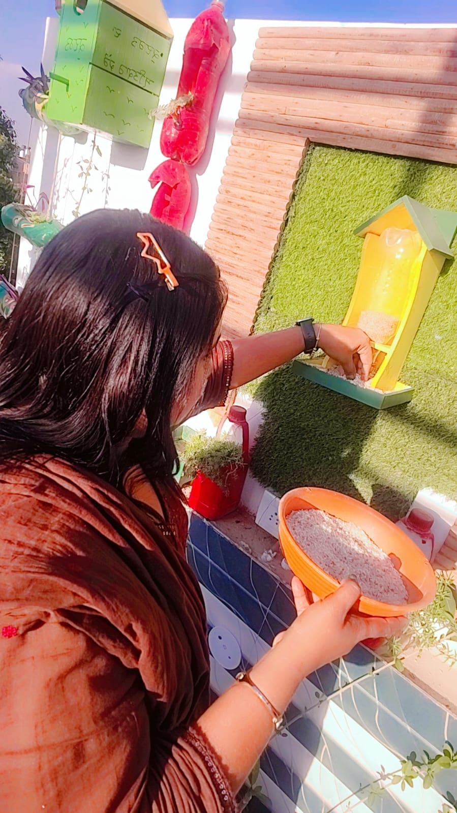 Feeding Station - Sangaria